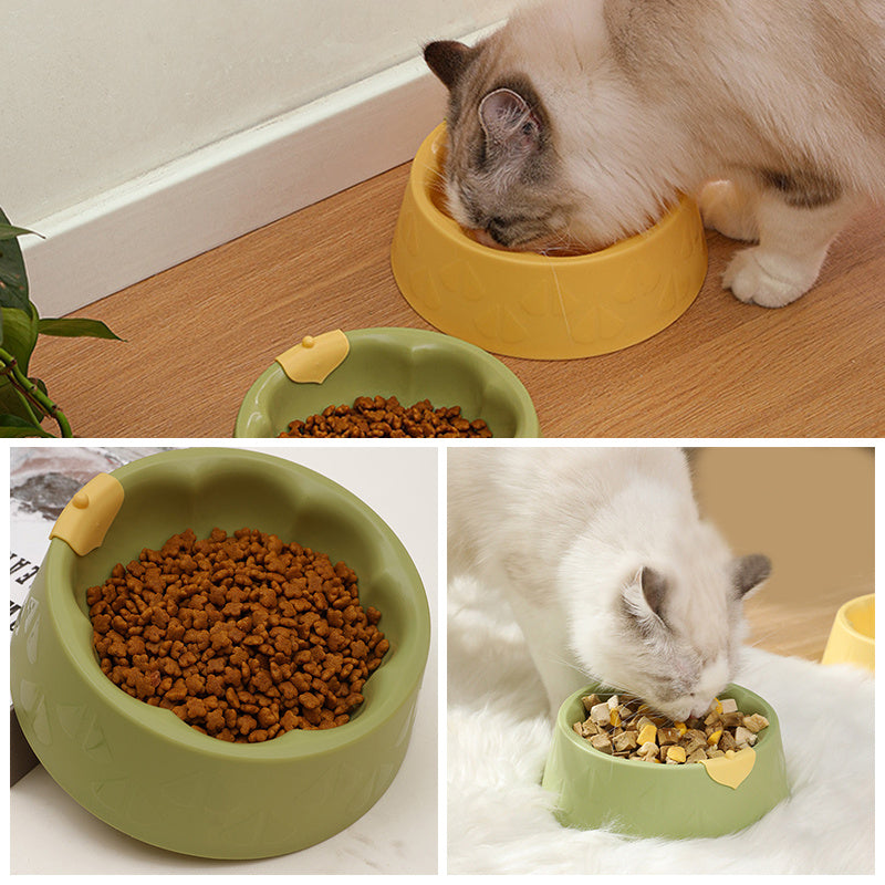 Pet Bowl Dish Indoor Pet Double Bowl