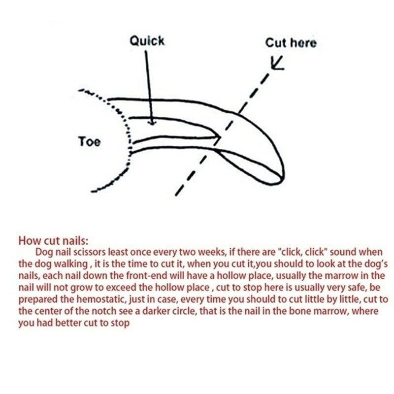 Nail Clippers For Dogs And Cats Nail Clippers Special Nail Clipper Nail Sharpener