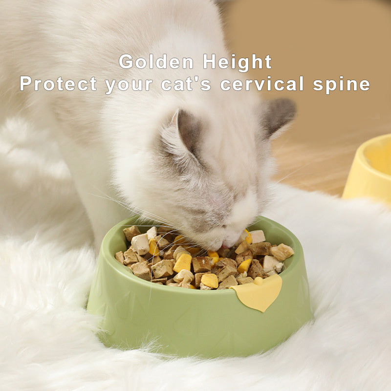 Pet Bowl Dish Indoor Pet Double Bowl