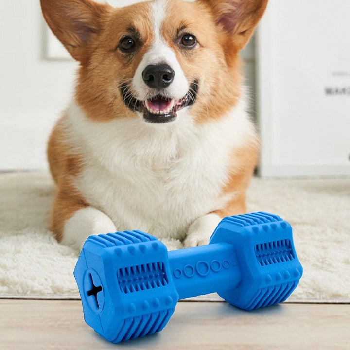 Rubber Interactive Long Lasting Food Leakage Toy