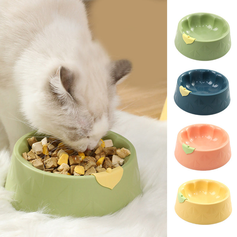 Pet Bowl Dish Indoor Pet Double Bowl