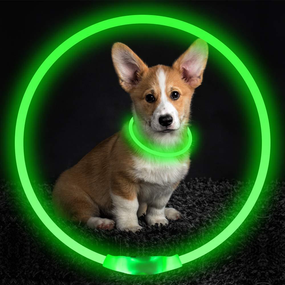 Pet Flashing Collar USB Rechargeable Glowing