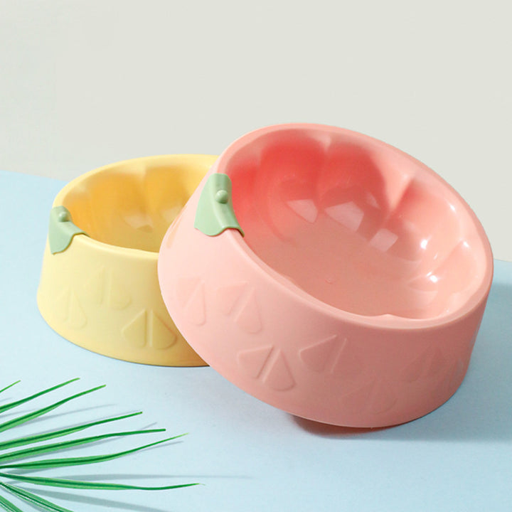 Pet Bowl Dish Indoor Pet Double Bowl