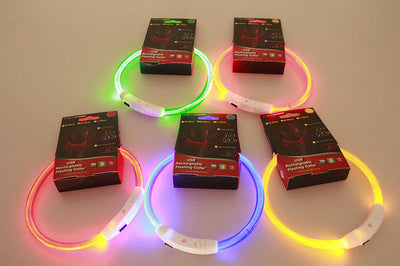 Pet Flashing Collar USB Rechargeable Glowing