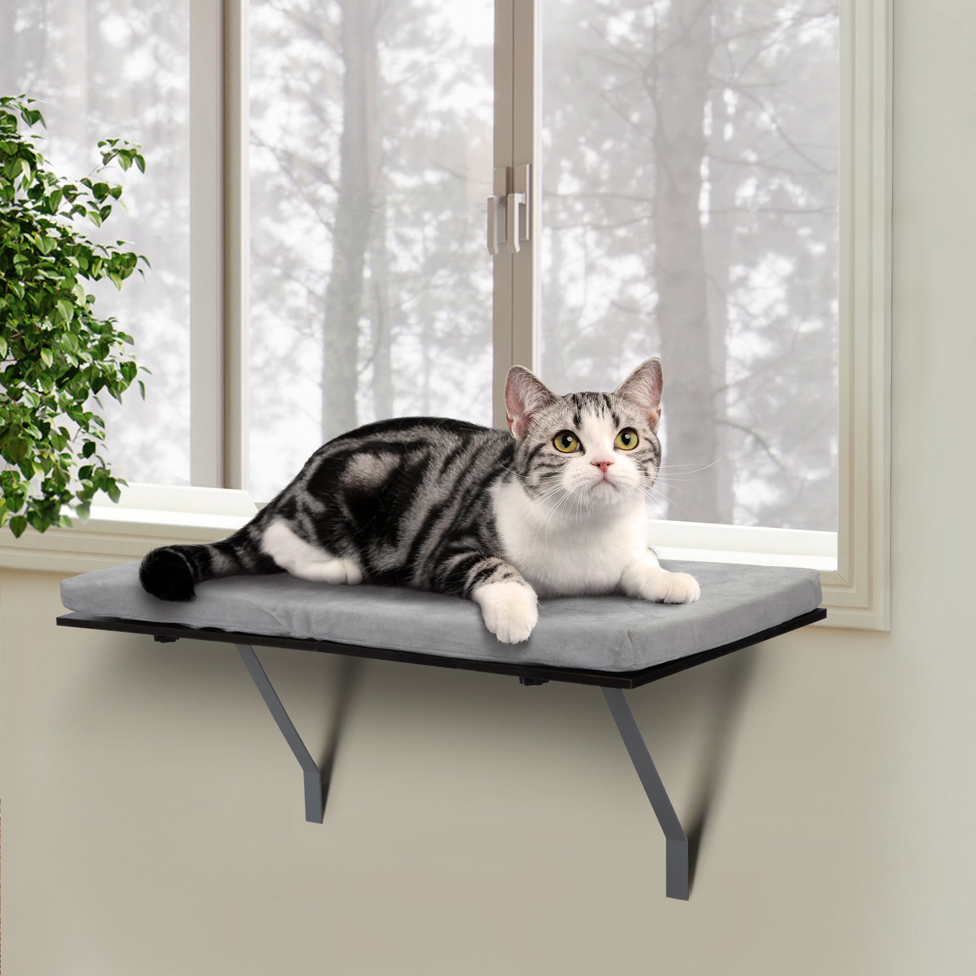 Cat Resting Shelving Bed With Velvet Cushion